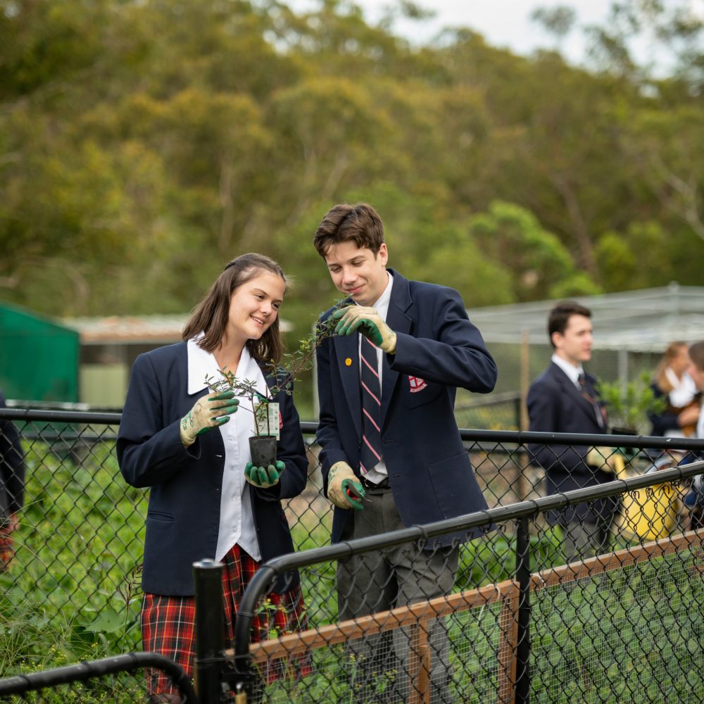 Land revegetation and care at Northholm Grammar